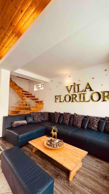 Vila Florilor Busteni Luaran gambar